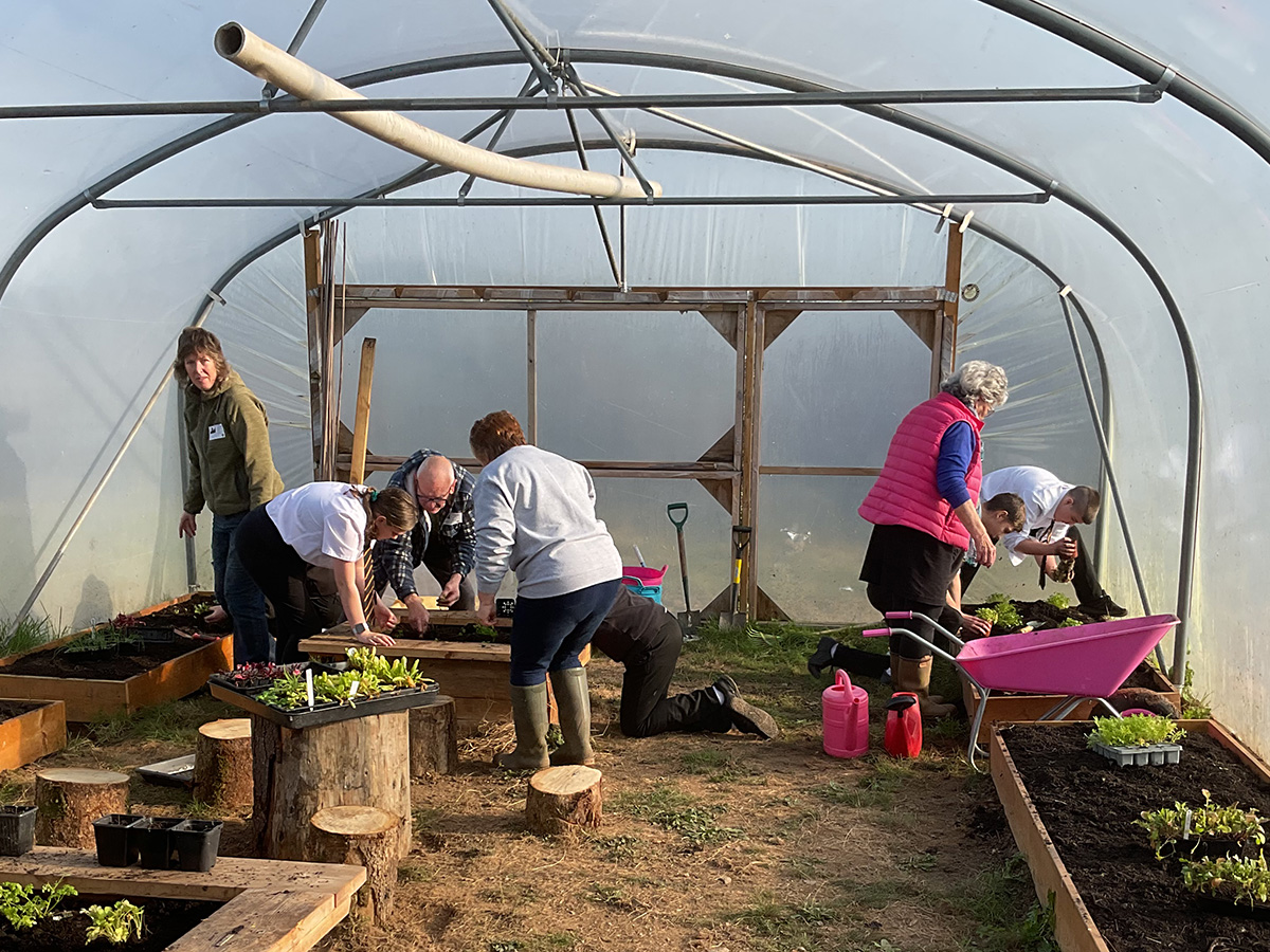 Volunteers and students planting in Yr Ardd Polytunnel