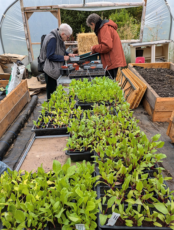 photo of two ladies in the polytunnel