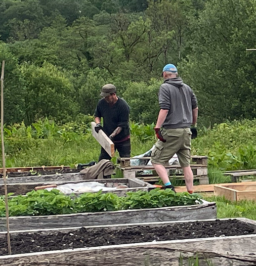 two men in the garden, working on maintaining the raised bed. One is holding a 2 by 4 piece of wood